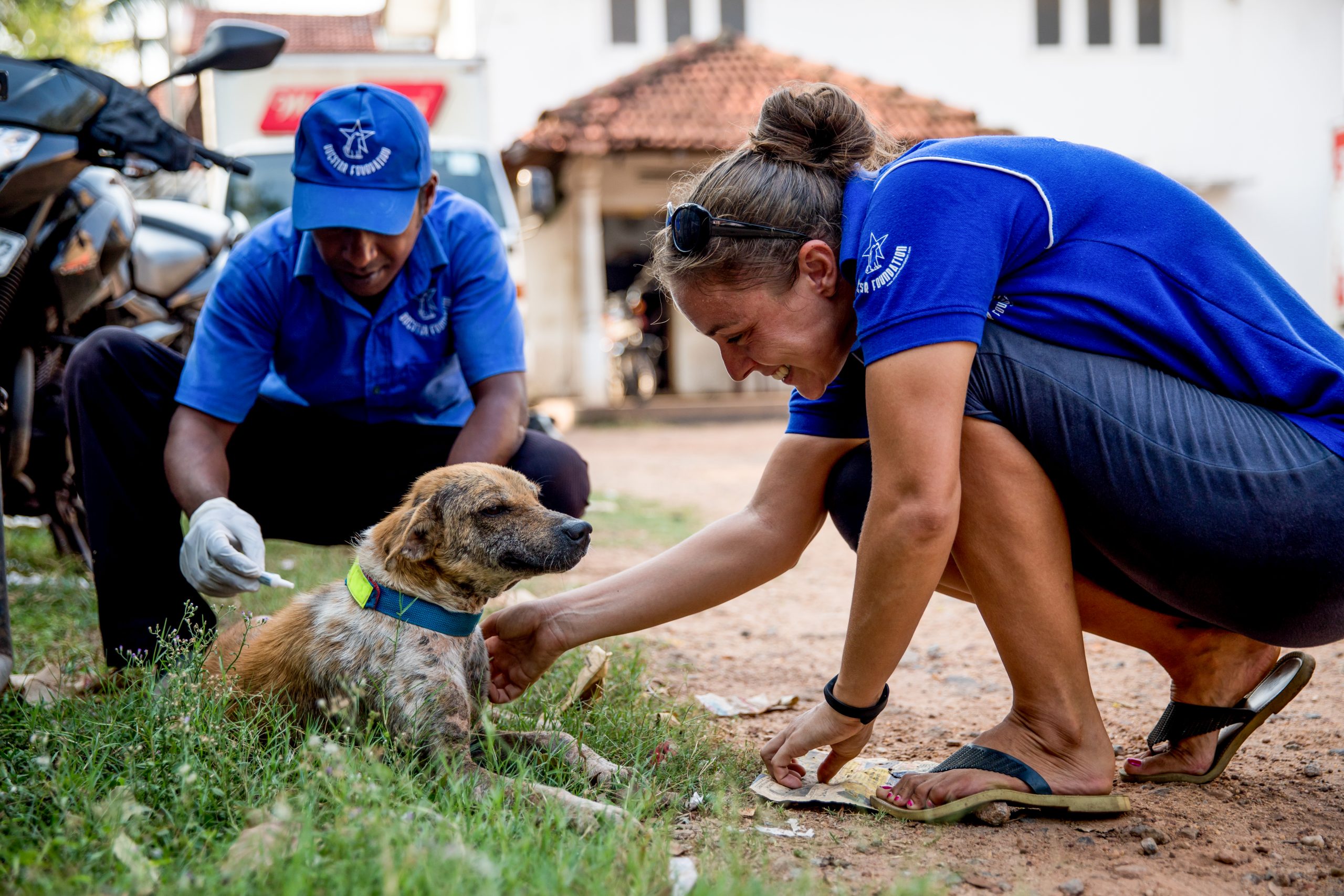 Two Dogstar employees treating a dog on the street by applying a solution to the back of their neck.