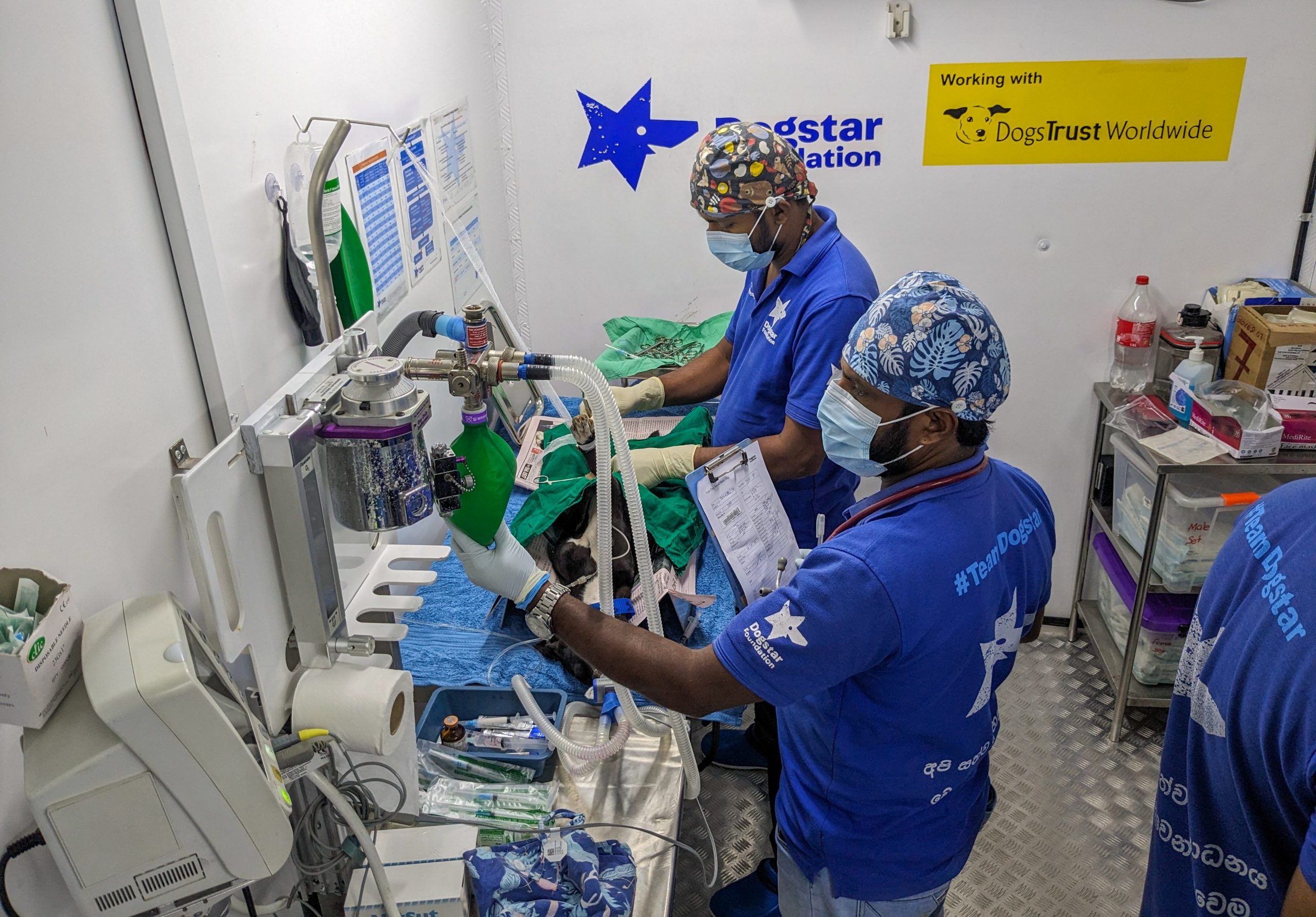 Two Dogstar veterinarians doing a sterilisation surgery at Dogstar's mobile clinic.