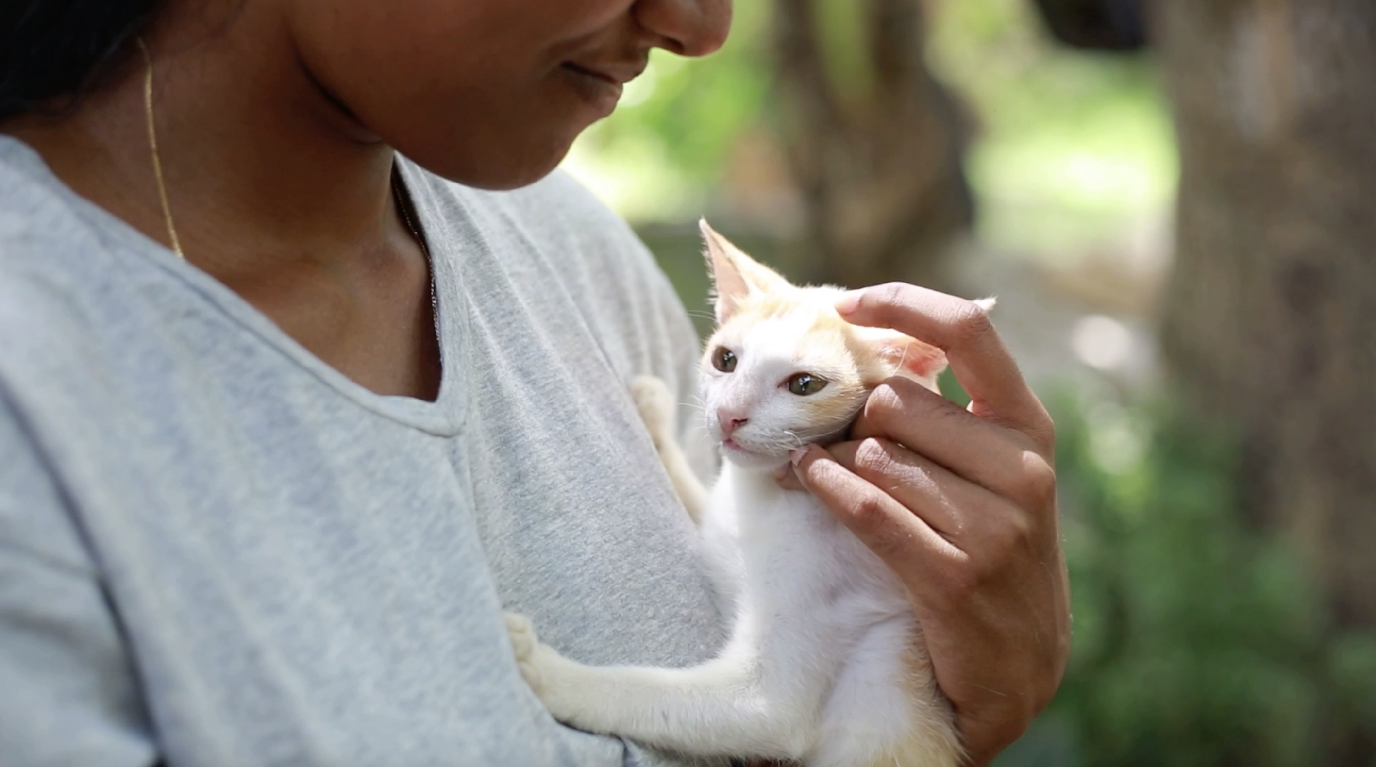 A woman holding her pet cat and gently stroking their head.