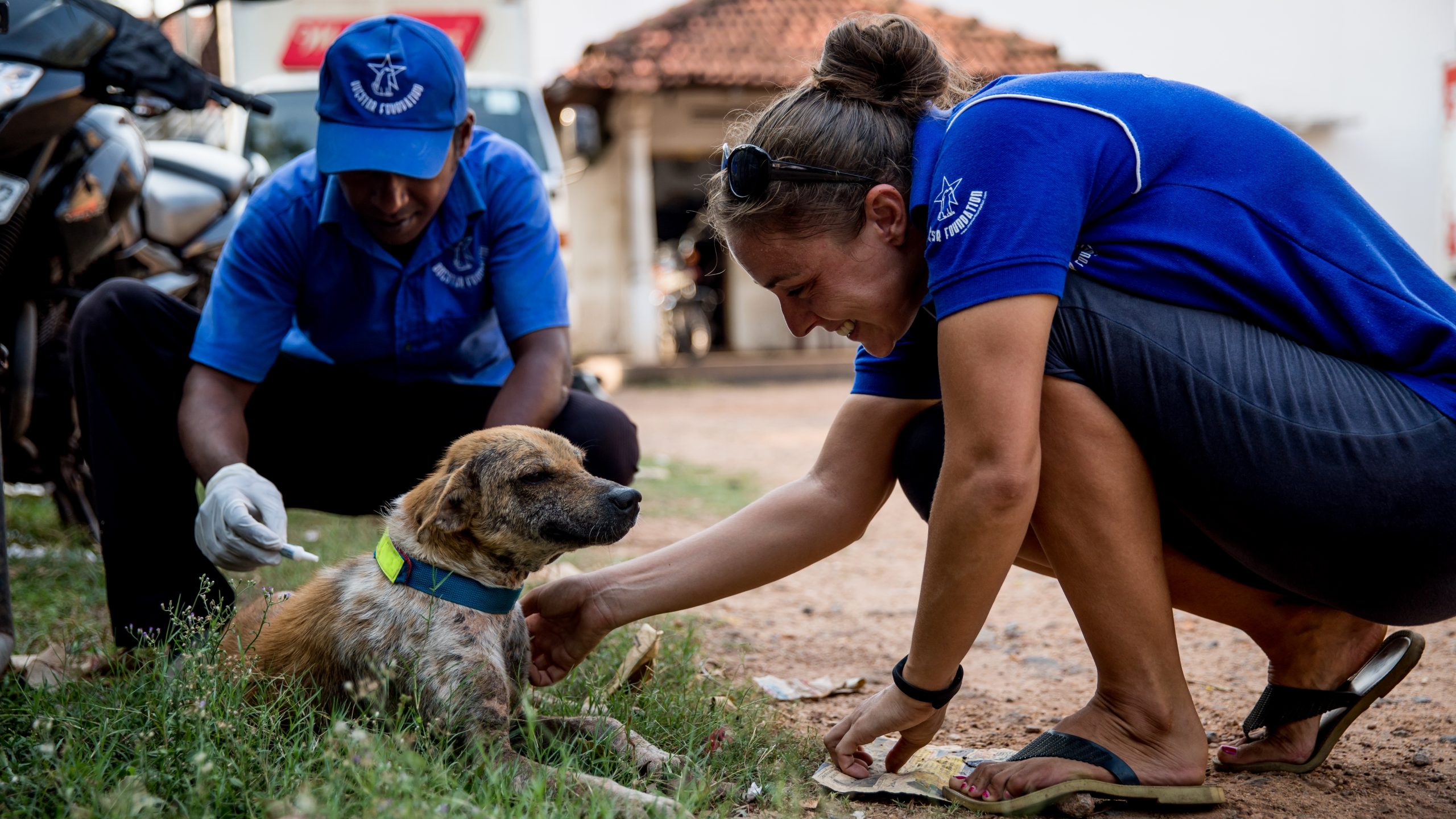 Two Dogstar employees treating a dog on the street by applying a solution to the back of their neck.