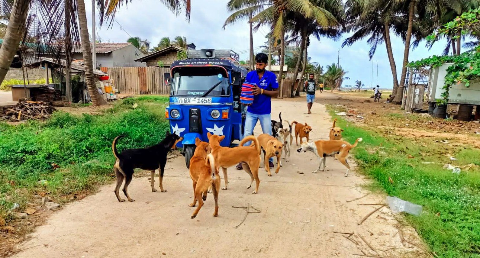 A Dogstar employee carrying a stack of bowls about to feed a group of dogs.