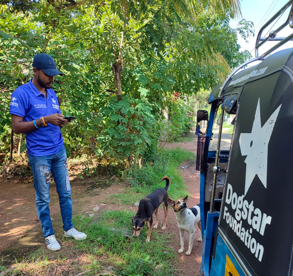 A Dogstar employee conducting a dog survey and filling in information on a mobile device.